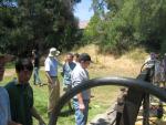 rc_IMG_0447